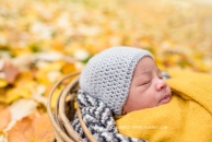 Photo de l'article Séance photos bébé nature Essonne 91, photographe spécialiste bébé APSNN : Gabin